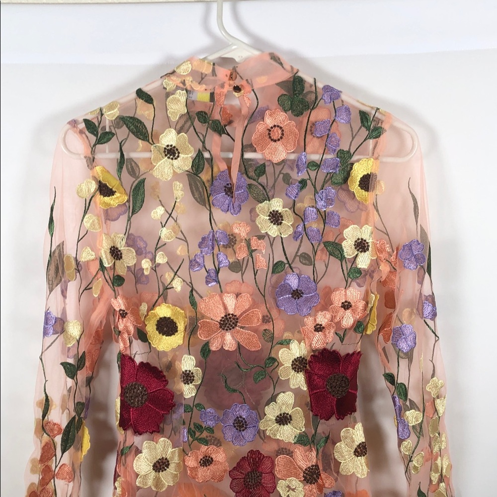 Finesse Sheer Long Sleeve Mini Dress with Fairy Boho Floral Embroidery - Picture 10 of 12